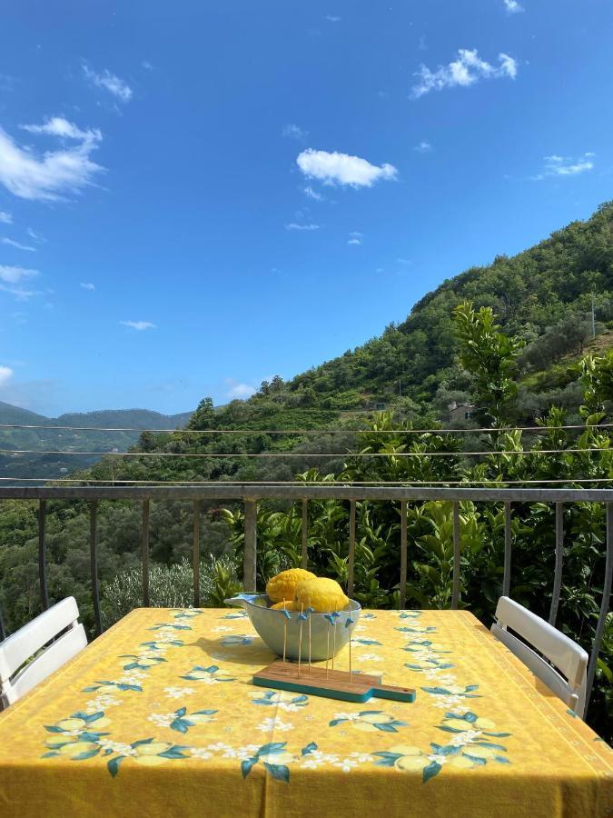 Le Case Della Lizza - Casa Gialla Levanto Dış mekan fotoğraf